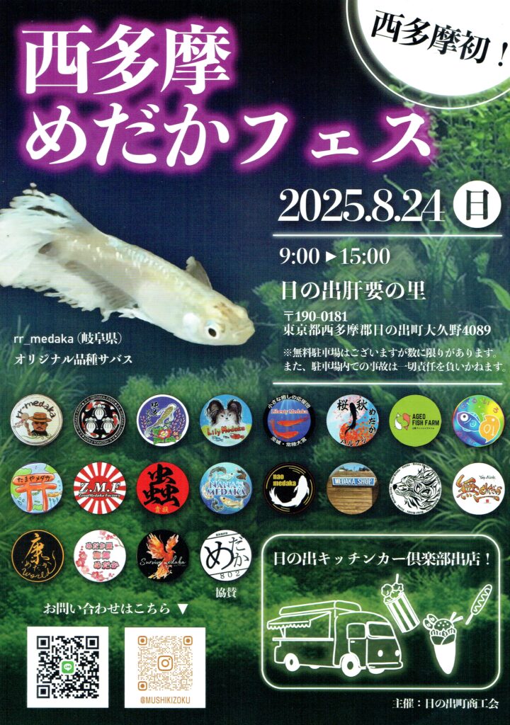 西多摩郡日の出町めだかフェス